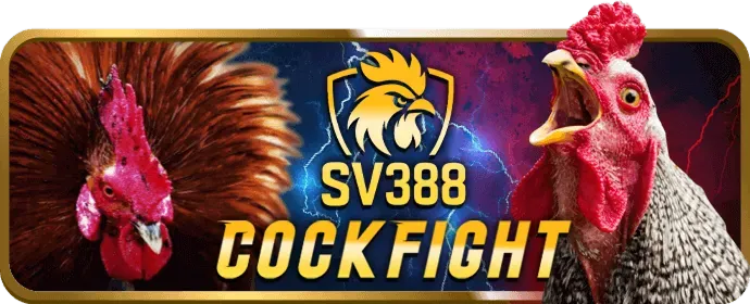 Bàn chơi Baccarat trực tuyến với người chia bài thật tại a88 casino